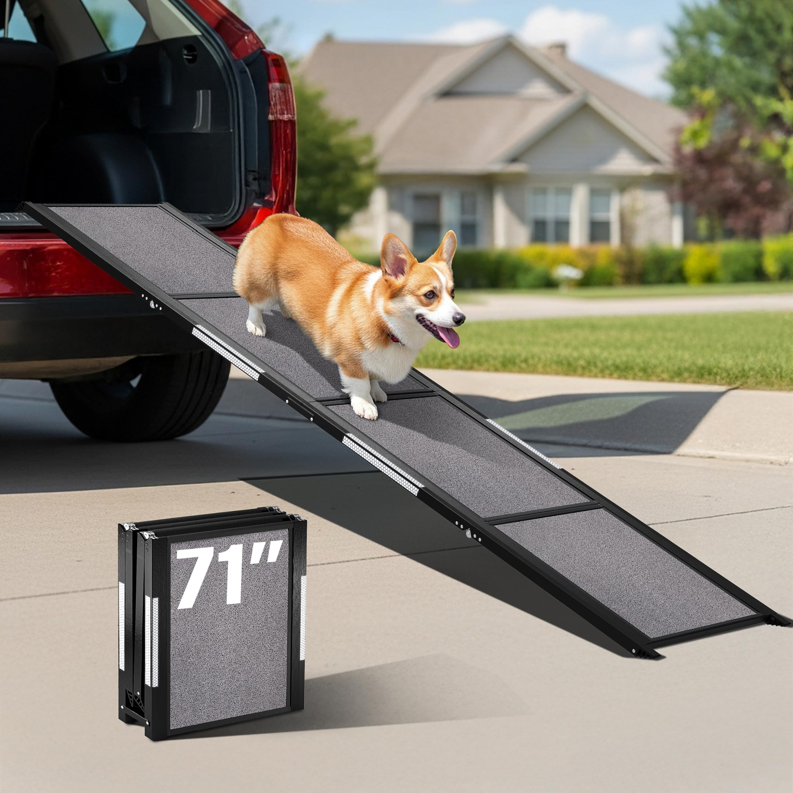Parfaite pour canapés et lits hauts, transition sûre PATHOSIO PETS.