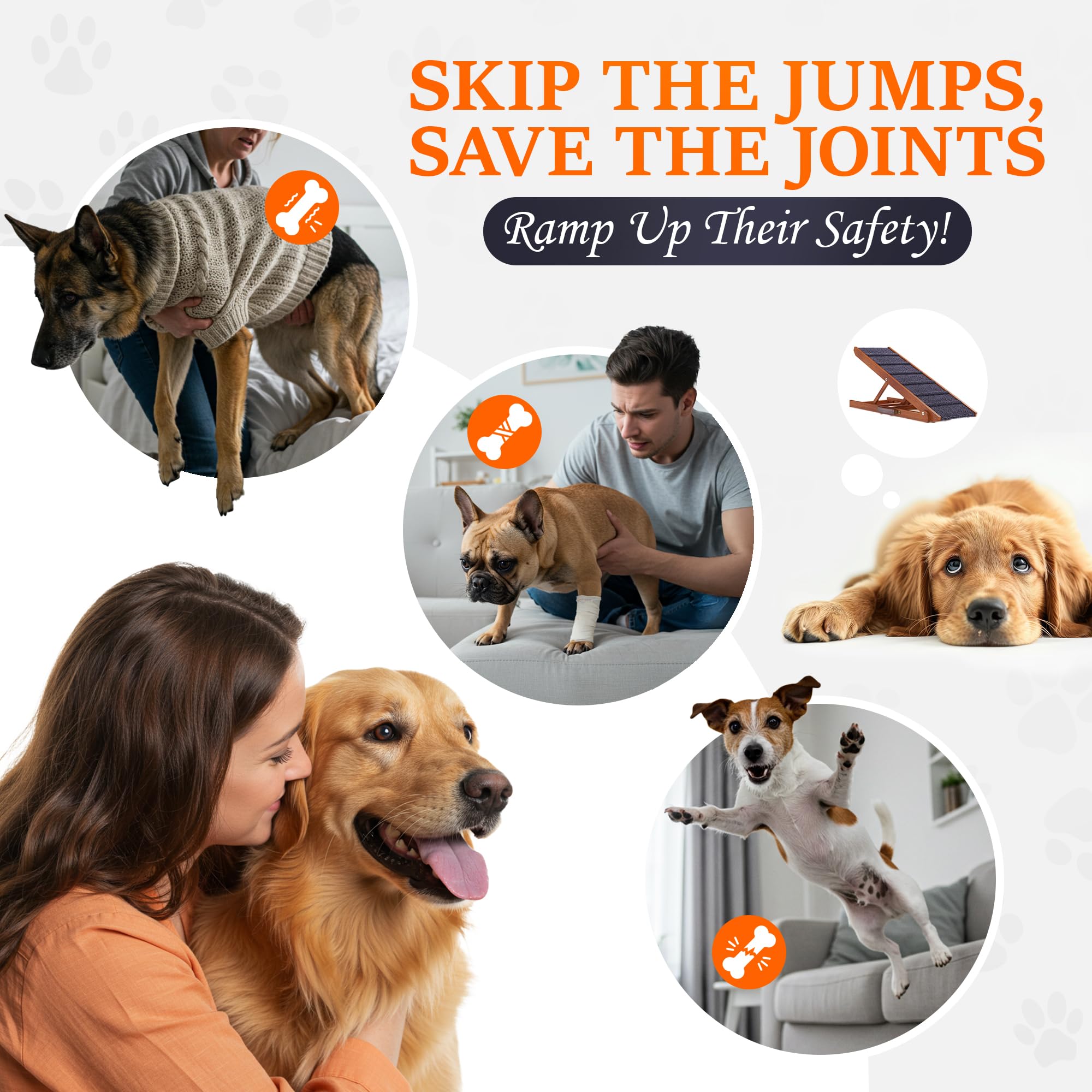Pathosio Pets rampe, cadre stable et marche large.