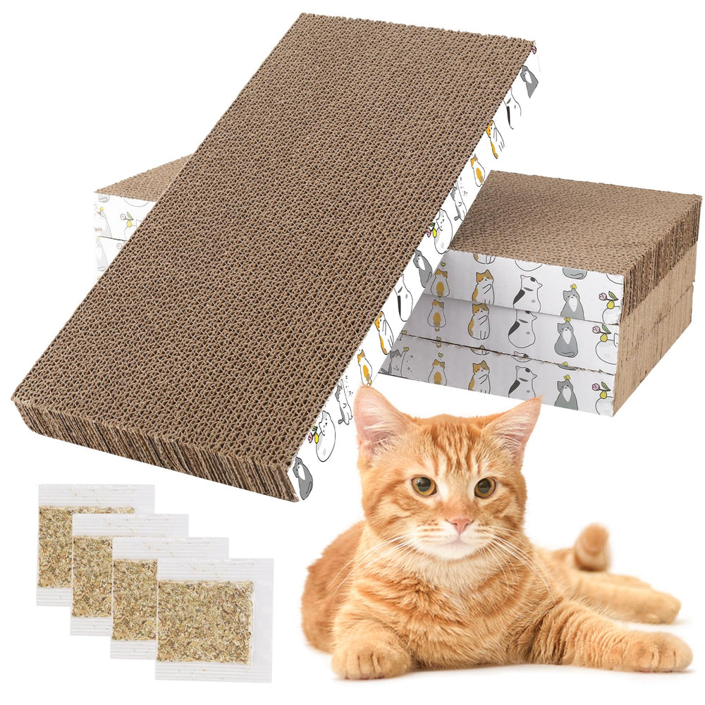 PatiencET grattoir chaton carton double-face, surface résistante pour griffage.
