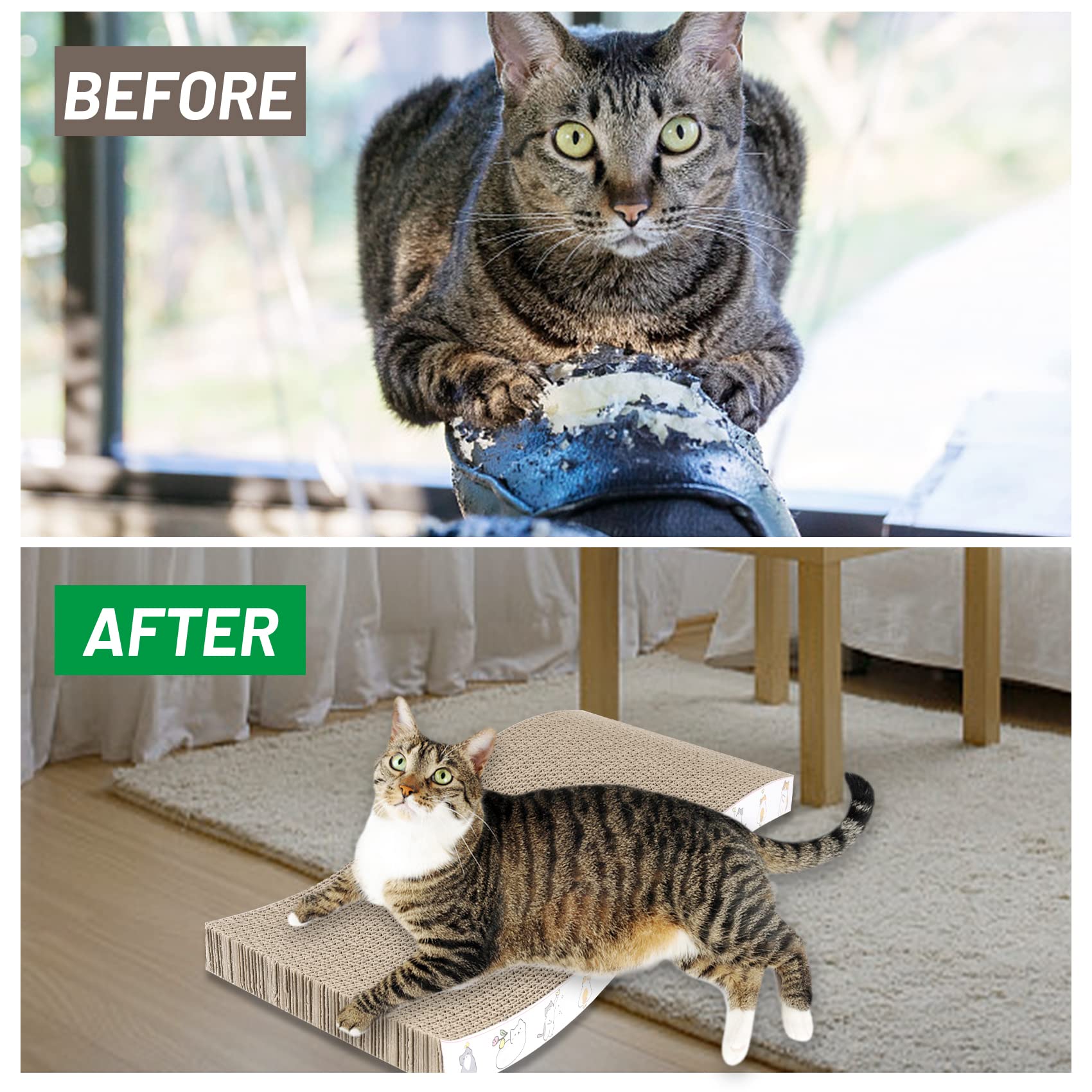 PatiencET herbe à chat organique – sachets inclus pour stimuler le jeu.