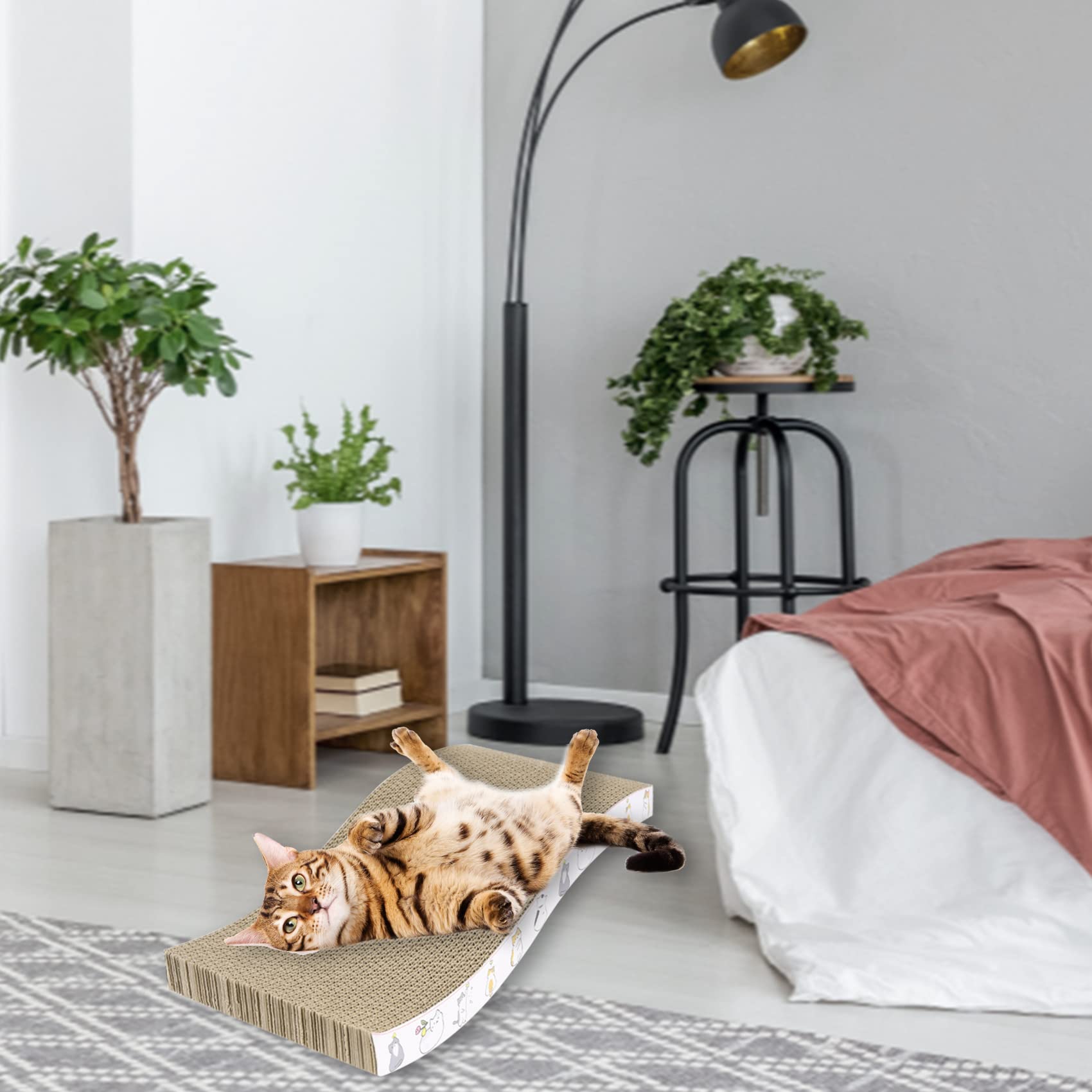 PatiencET matière carton recyclé renforcé – durable et respectueux de l’environnement.