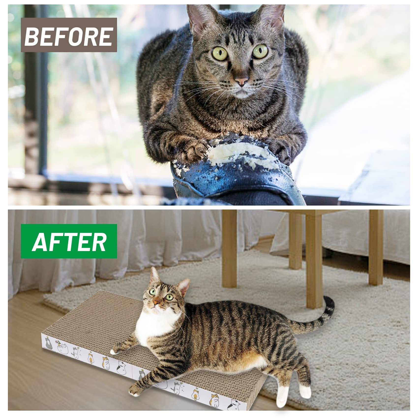 PatiencET Cat Scratcher Carton nid-confort, endroit cosy pour sieste après le jeu.