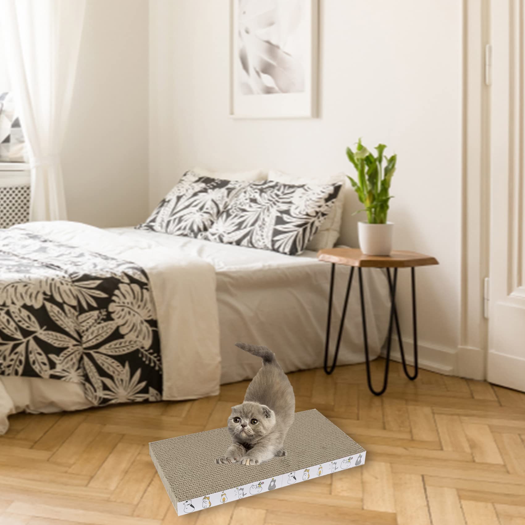 PatiencET Cat Scratcher Herbe-chat-incluse, stimulation naturelle sans danger.