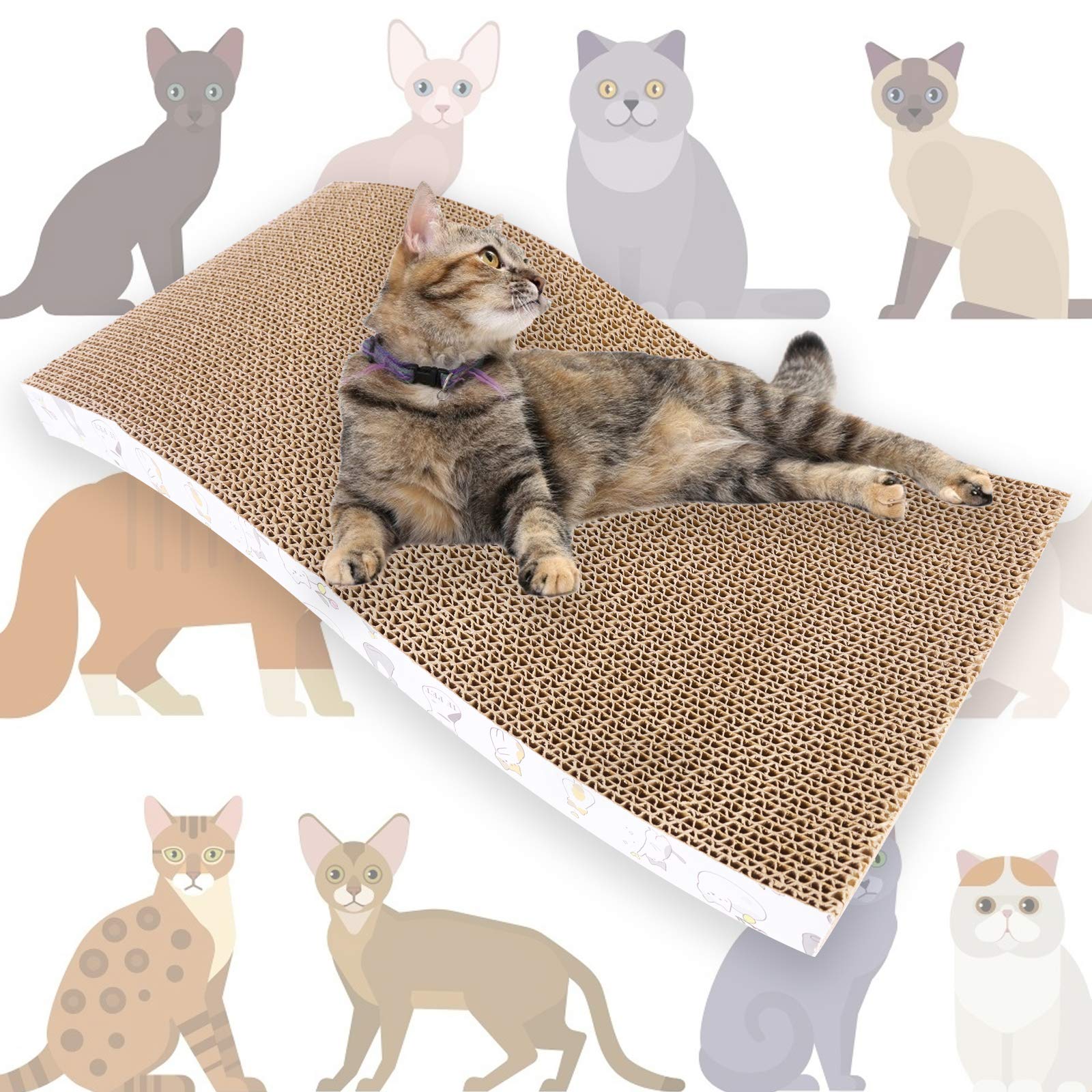 PatiencET griffoir-chat-dimensions-44cm-22cm, taille adaptée pour maisons compactes.