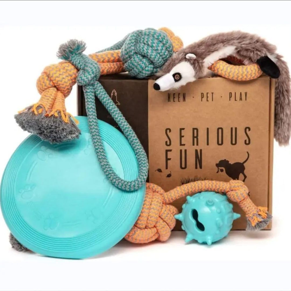 Patitas coffret anniversaire et amusement, ensemble de jouets chien stimulant l'activité.