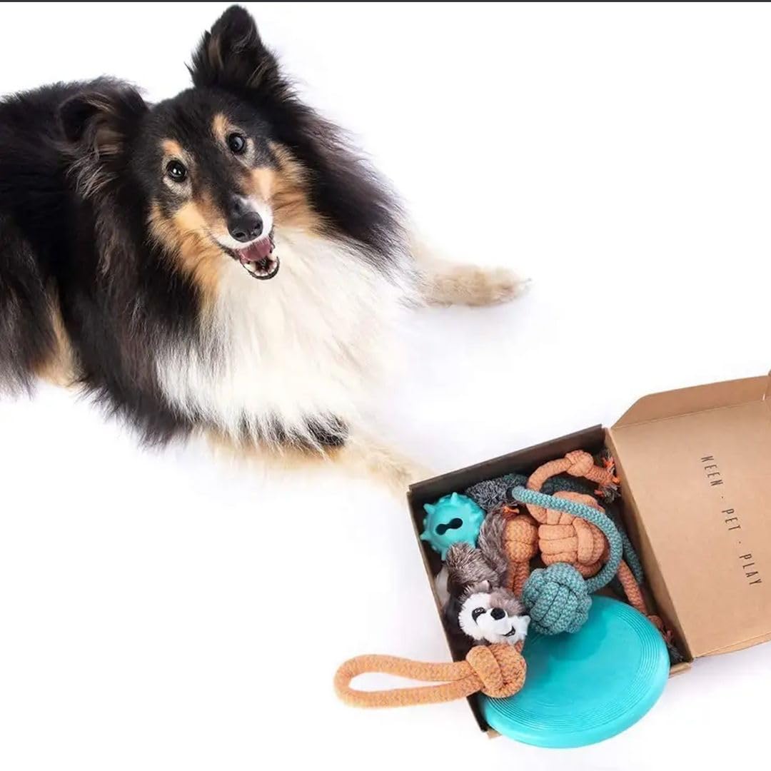 Patitas jeu corde tirage pour petit chien, idéal pour exercice et amusement.