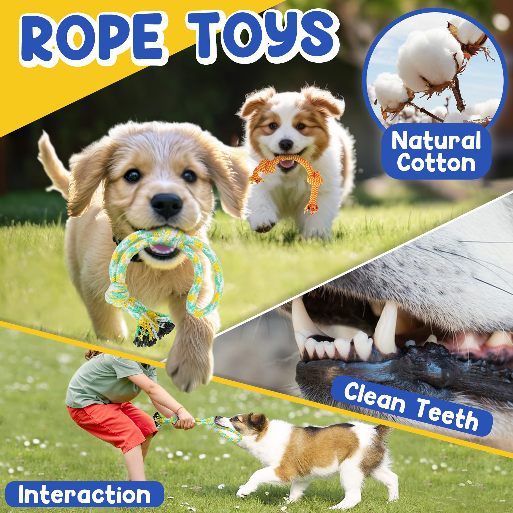 Jouet PatsFran caoutchouc durable vert pour chiot et mâchage sûr