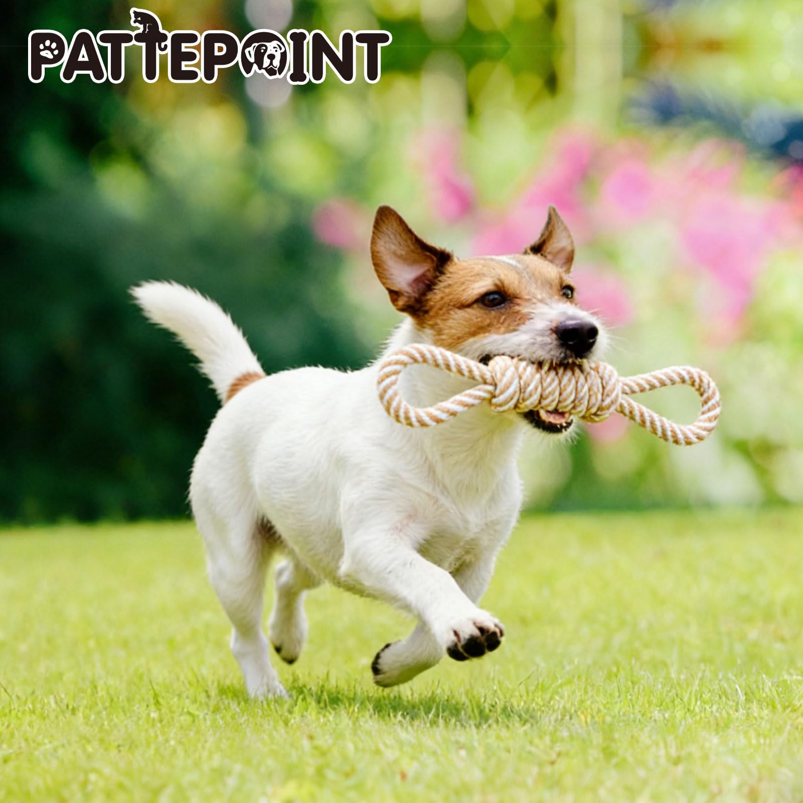 PATTEPOINT coton naturel: matériau écologique et sûr pour chiots.