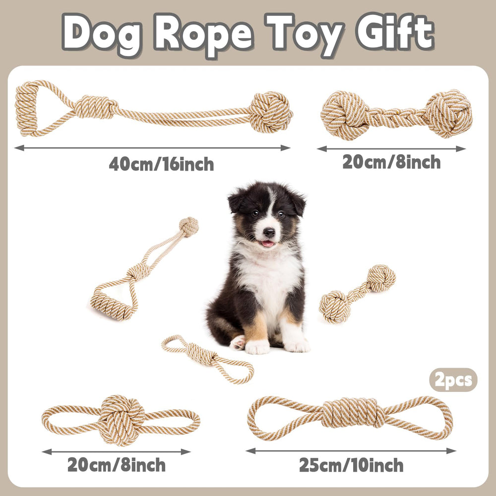 PATTEPOINT image dents et gencives: nettoyage doux pendant le jeu.