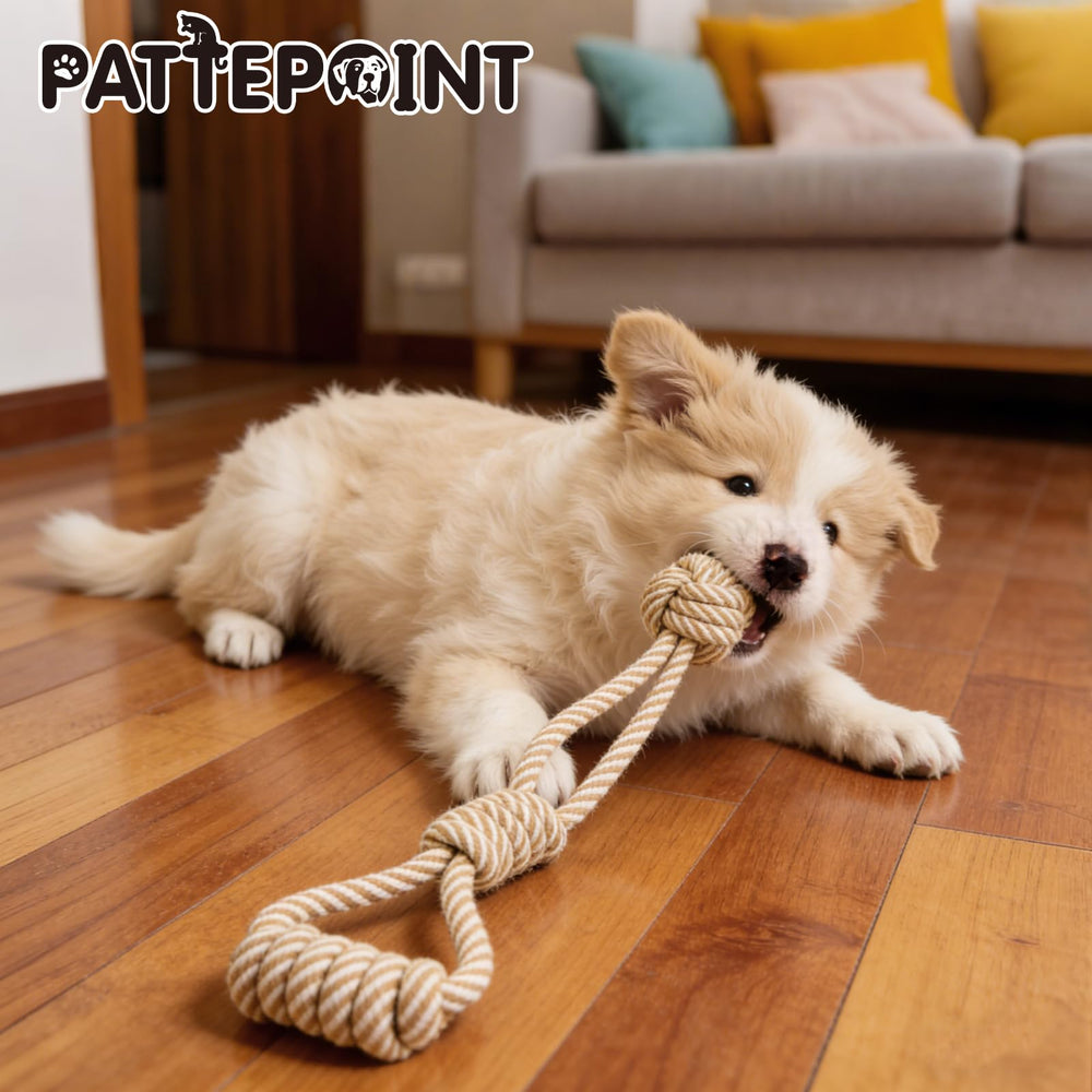 PATTEPOINT corde durable: conçue pour résister aux jeux des petites races.