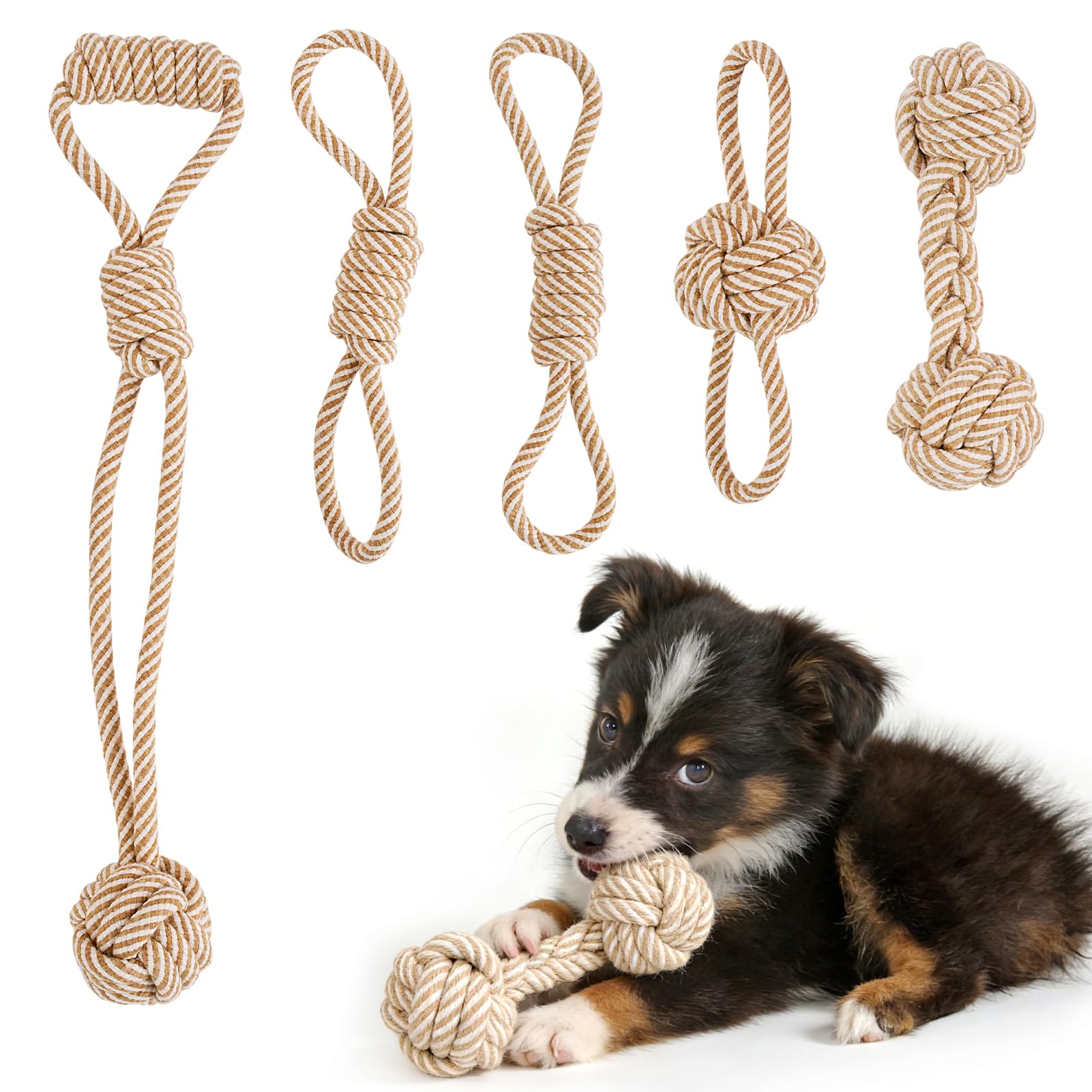 PATTEPOINT ensemble de jouets corde petit chien: mastiquer et socialiser.