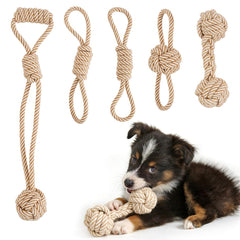PATTEPOINT ensemble de jouets corde petit chien: mastiquer et socialiser.
