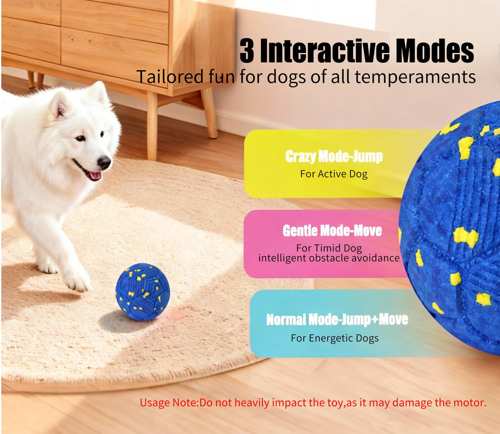 Balle Patzoober mode doux bleue, roule tranquillement pour chiens calmes.