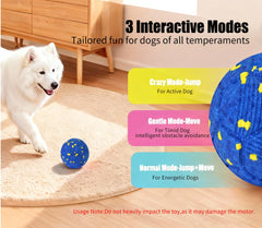 Balle Patzoober mode doux bleue, roule tranquillement pour chiens calmes.