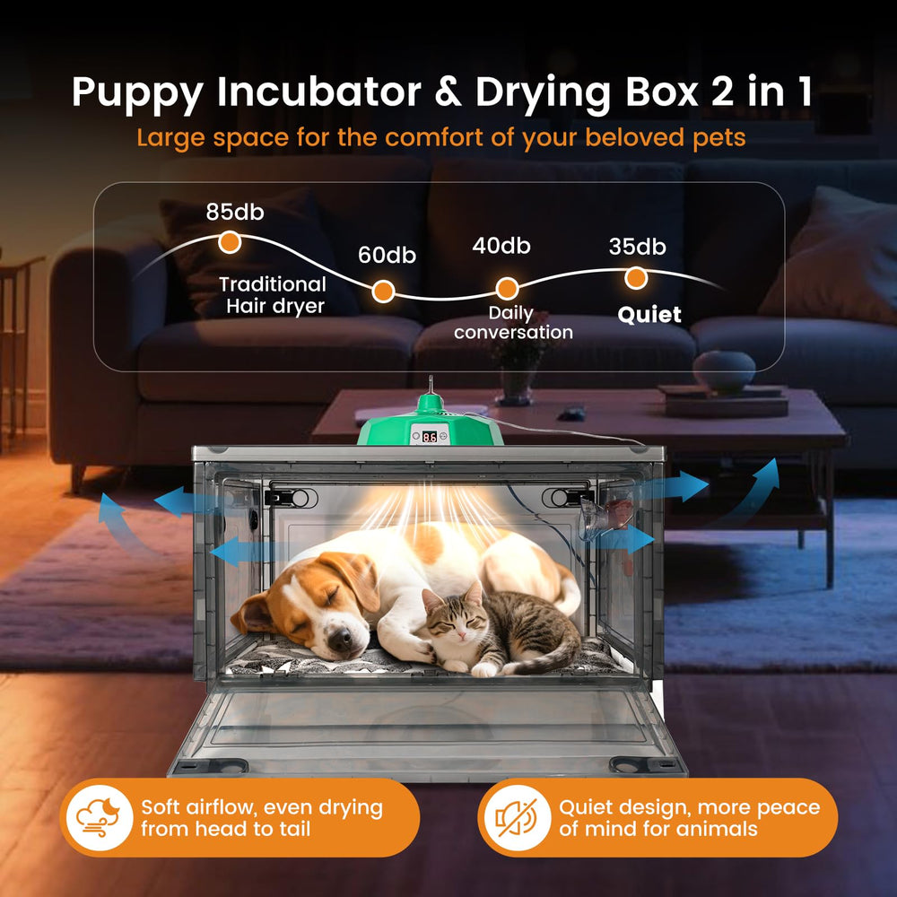 PAULOZYN incubateur chiots ensemble accessoires — tout ce qu'il faut