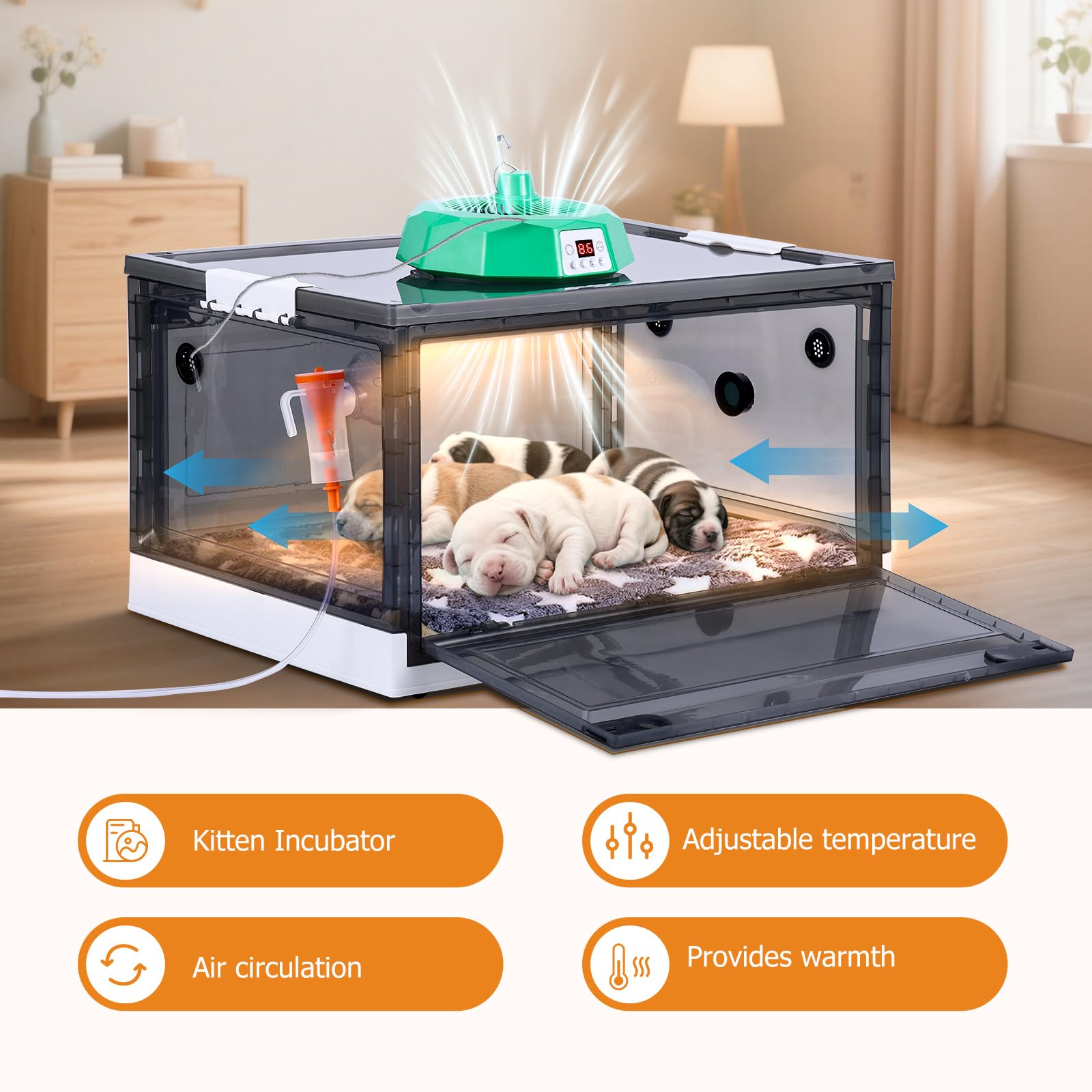 PAULOZYN incubateur chiots thermomètre et hygromètre — suivi environnement