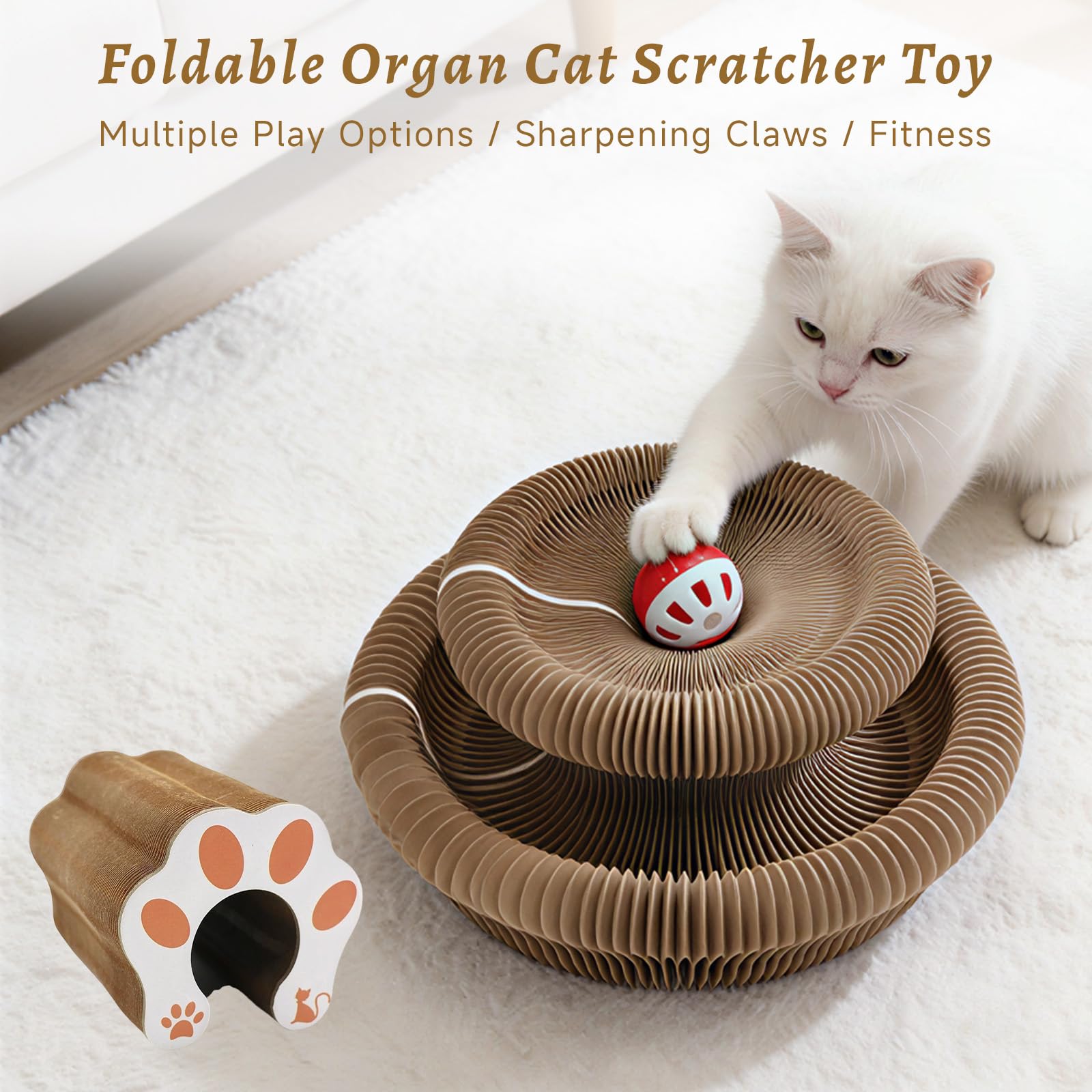 PAUSZUQ kit griffoir chat carton durable et pliable