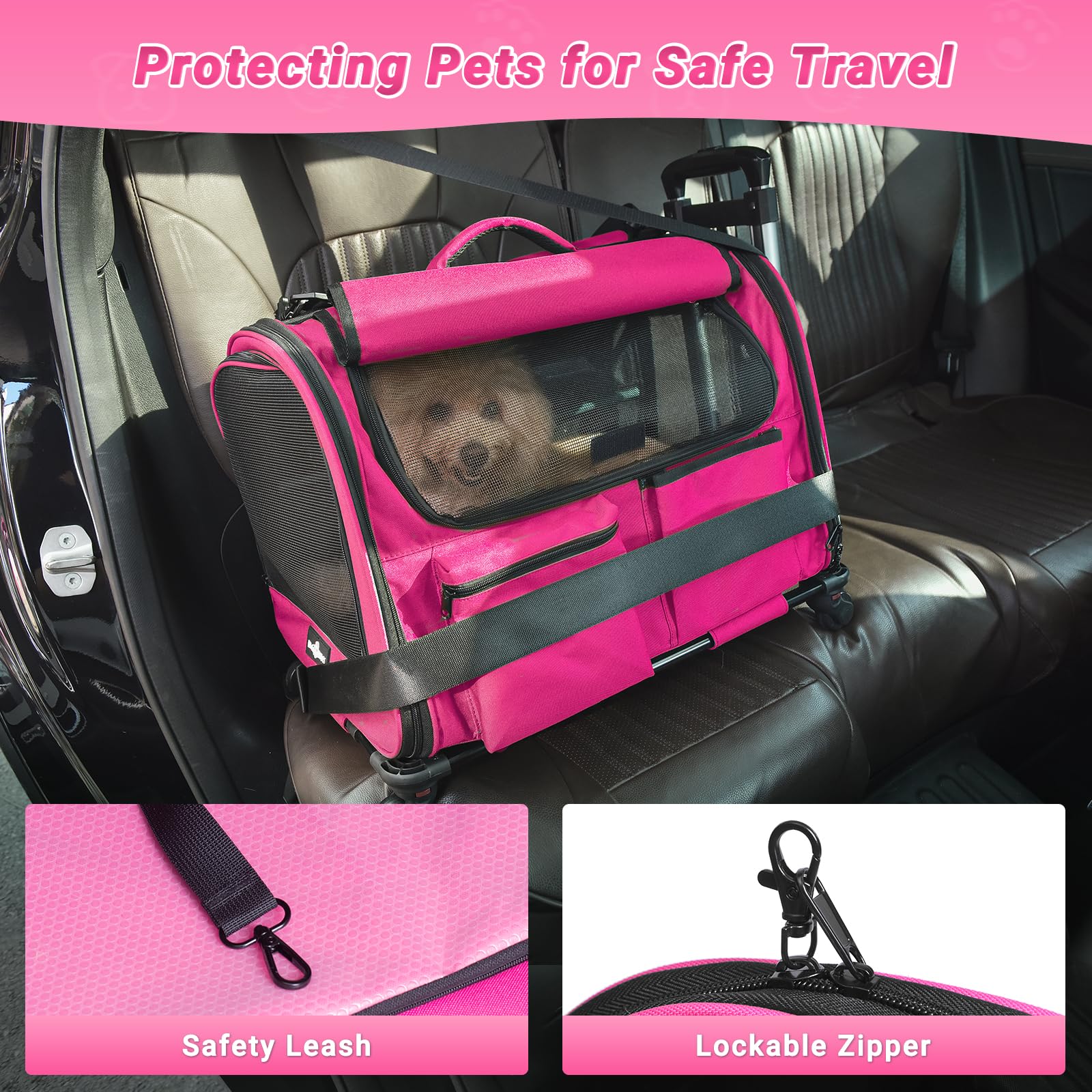 PAW BALLET ventilation mesh et hublots pour vue et air frais.