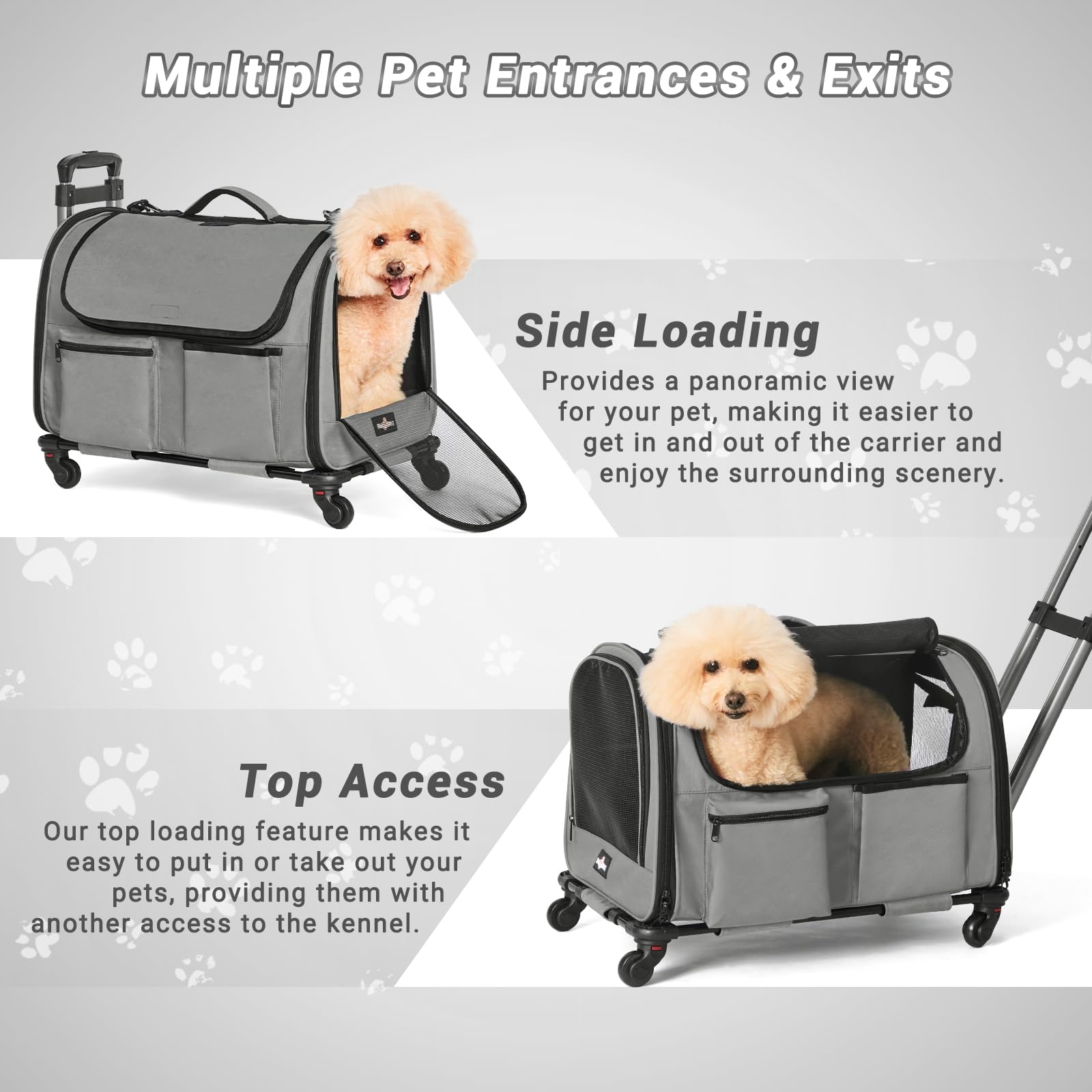 PAW BALLET ventilation-portes-mesh-etanche: ventilation et visibilité pour des chiens et chats détendus