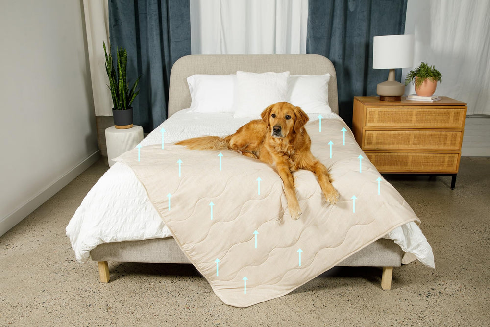 PAW BRANDS PupChill lavage en machine pour entretien facile