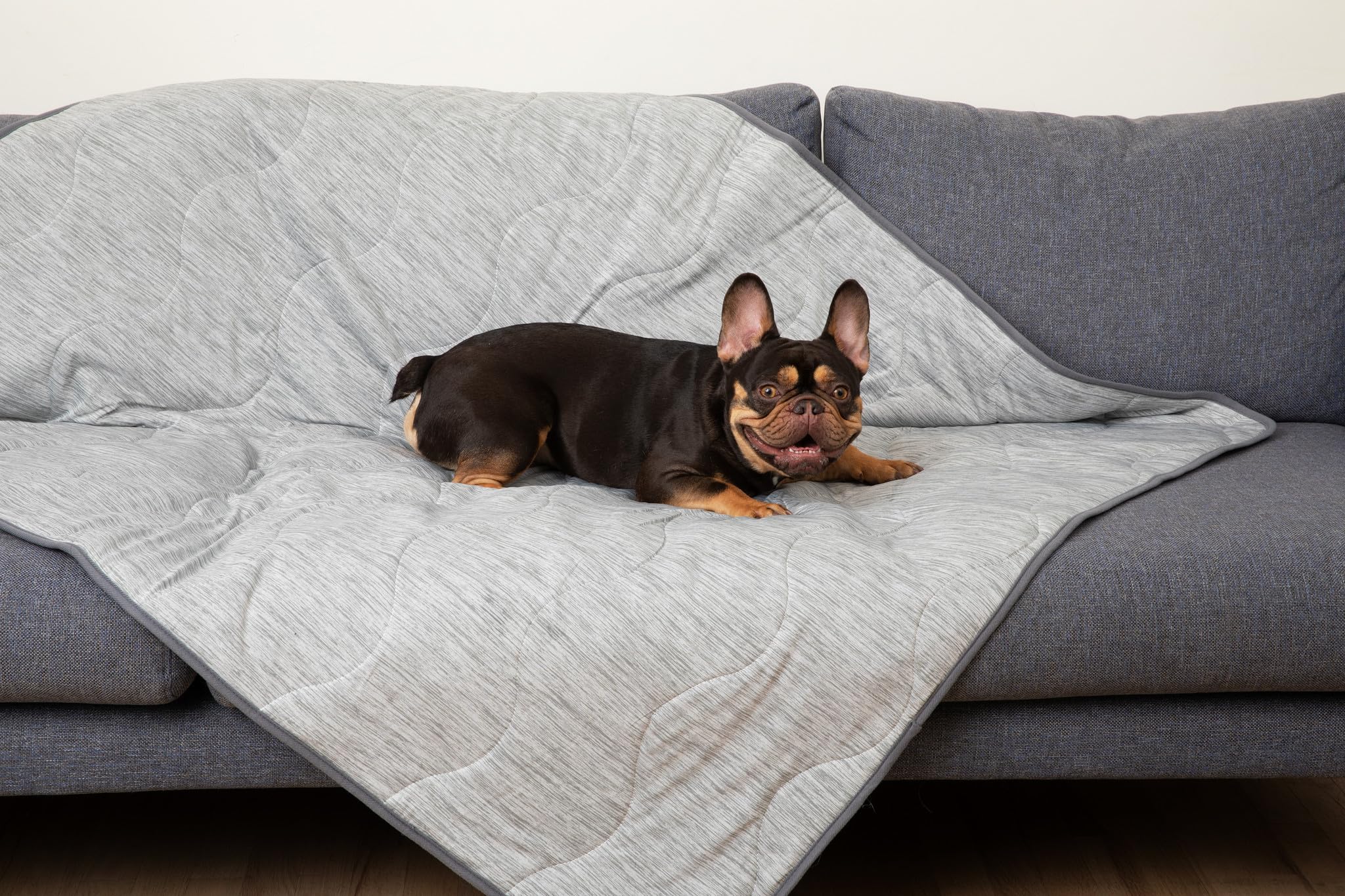 PAW BRANDS PupChill motif quilt ondulé pour style et durabilité