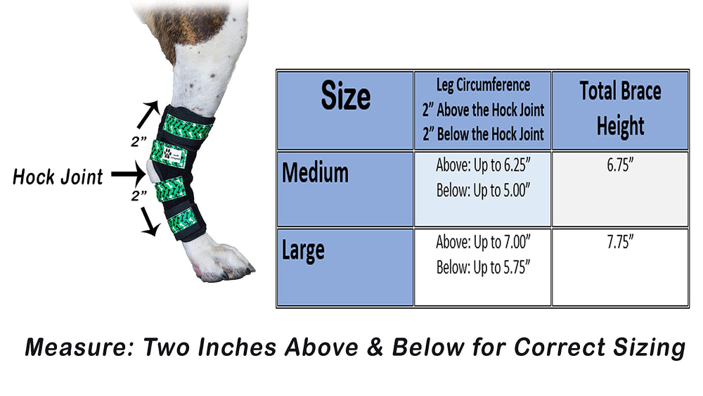 Sangles Velcro Paw Empire: fermeture sécurisée et ajustement facile.