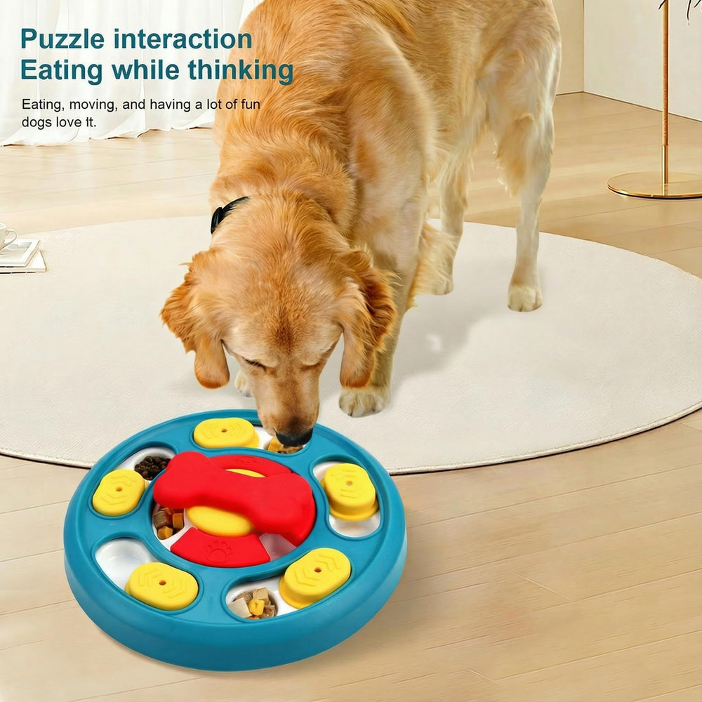 Paw-FECT Piece: convient chiens de tout âge et gabarit.