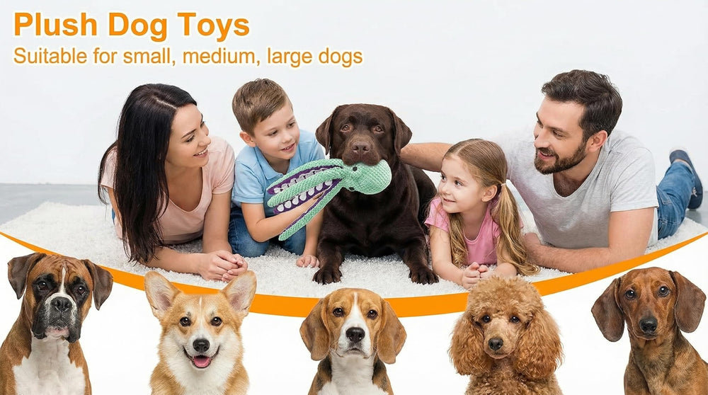 Paw-FECT Piece, jeu de traction entre chiens, favorise le partage et l'exercice.