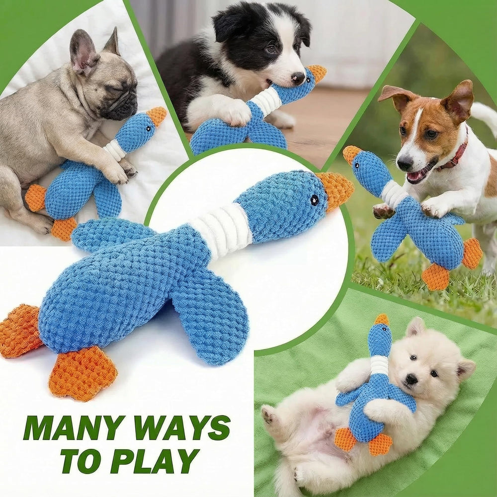 Paw-FECT Piece canard bleu – jouet pour dentition et massage des gencives