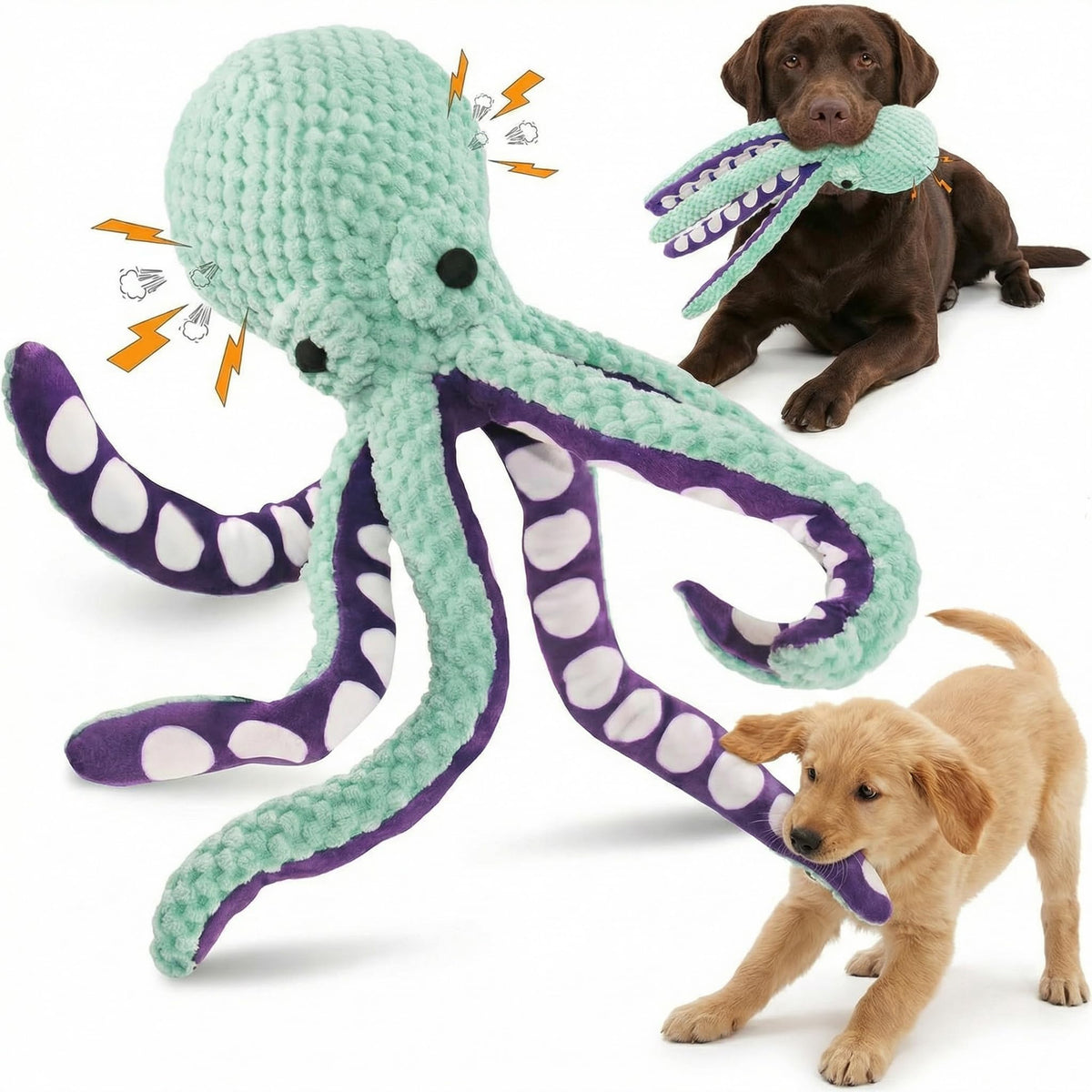 Paw-FECT Piece, vue frontale du poulpe sifflant, stimule l'interaction et le divertissement.