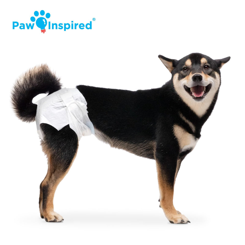 Paw Inspired attaches-repositionnables-anti-poil: ajustement flexible et sans douleur.
