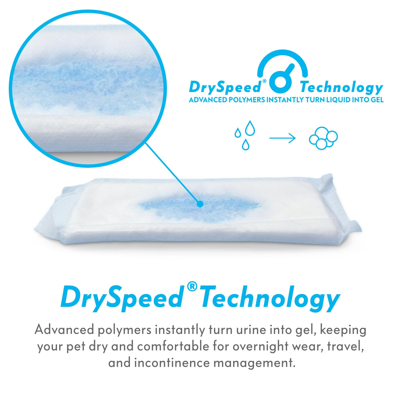 Paw Inspired design flux continu, gestion efficace des liquides.