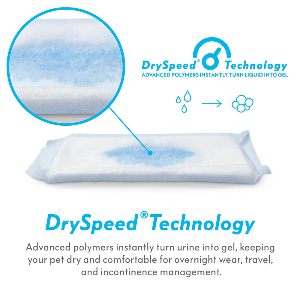 Paw Inspired design flux continu, gestion efficace des liquides.