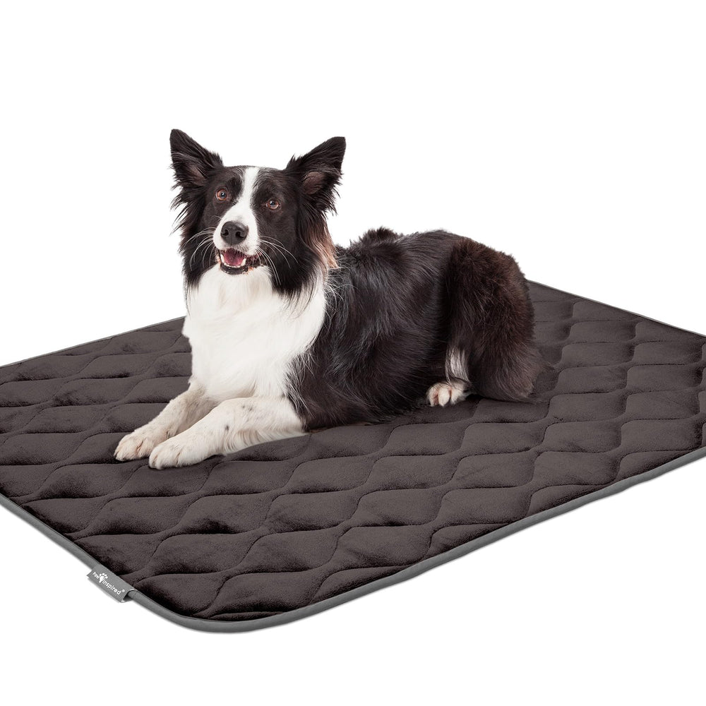 Paw Inspired Matelas doux et hydrofuge, pour chien heureux.