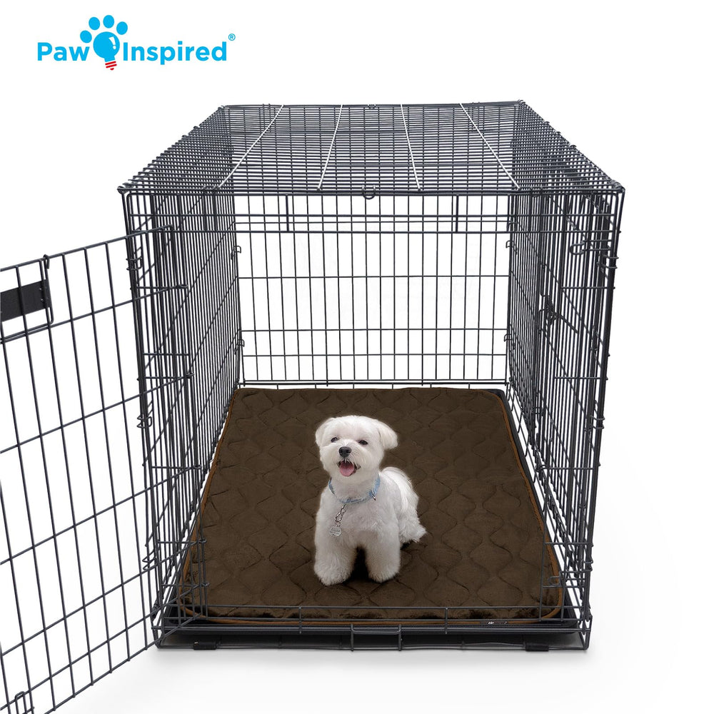 Paw Inspired Dimensions adaptées, convient à la plupart des cages.