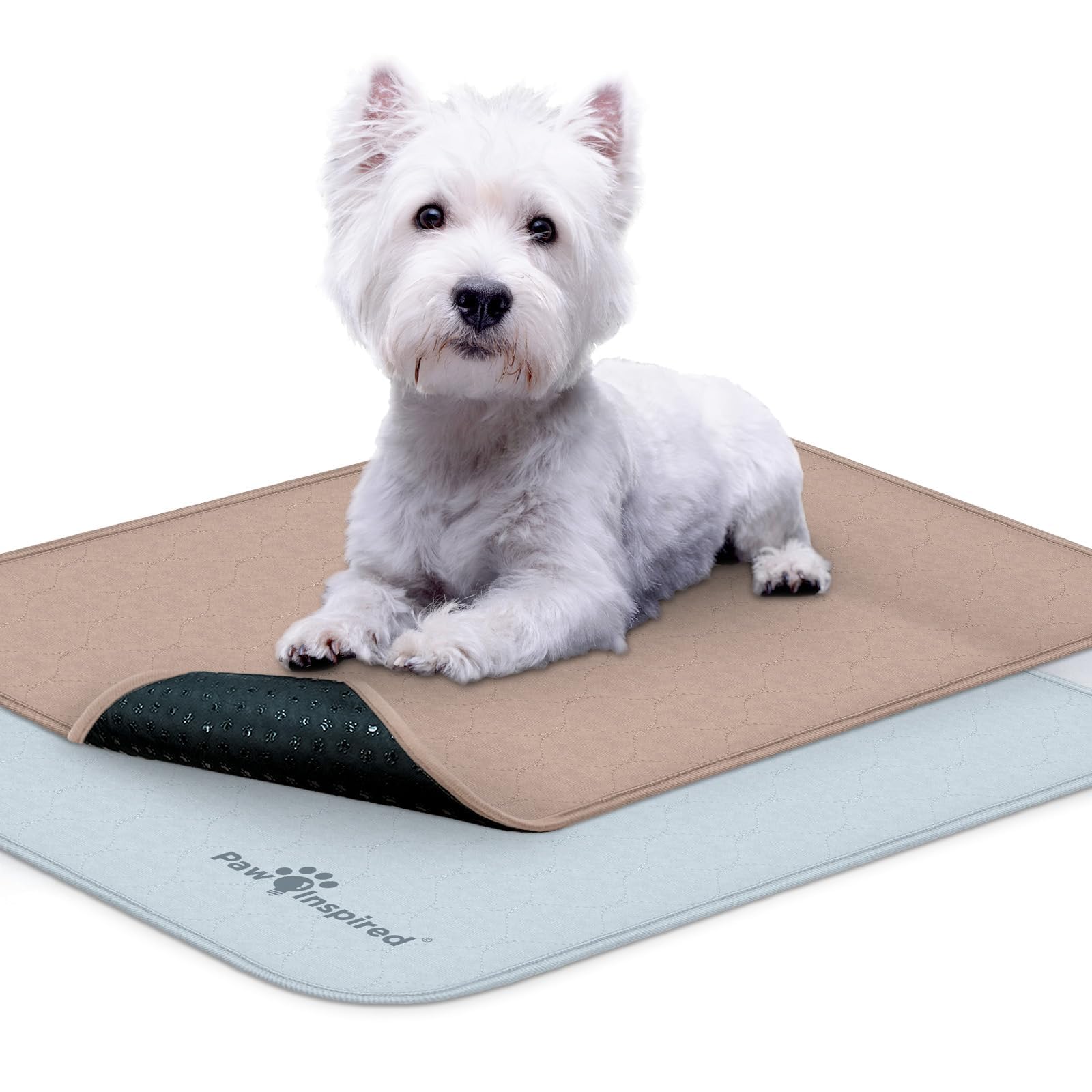 Paw Inspired revêtement pour cage chien 24x18, étanche et antidérapant pour propreté.
