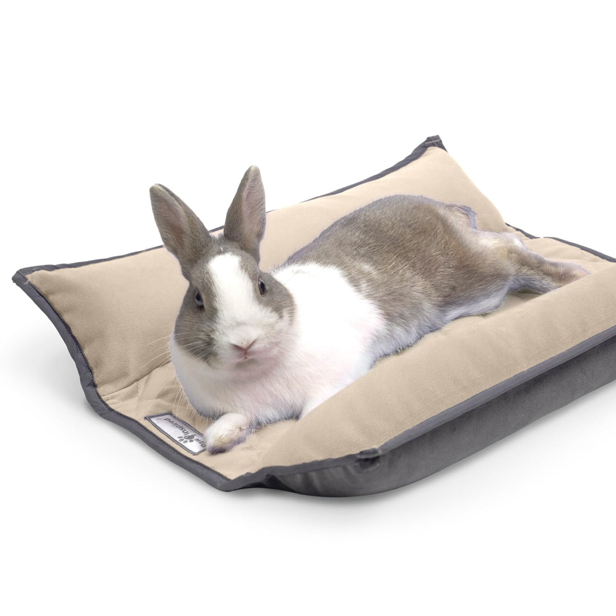 Paw Inspired lit doux pour lapin gris/beige, repos apaisé.