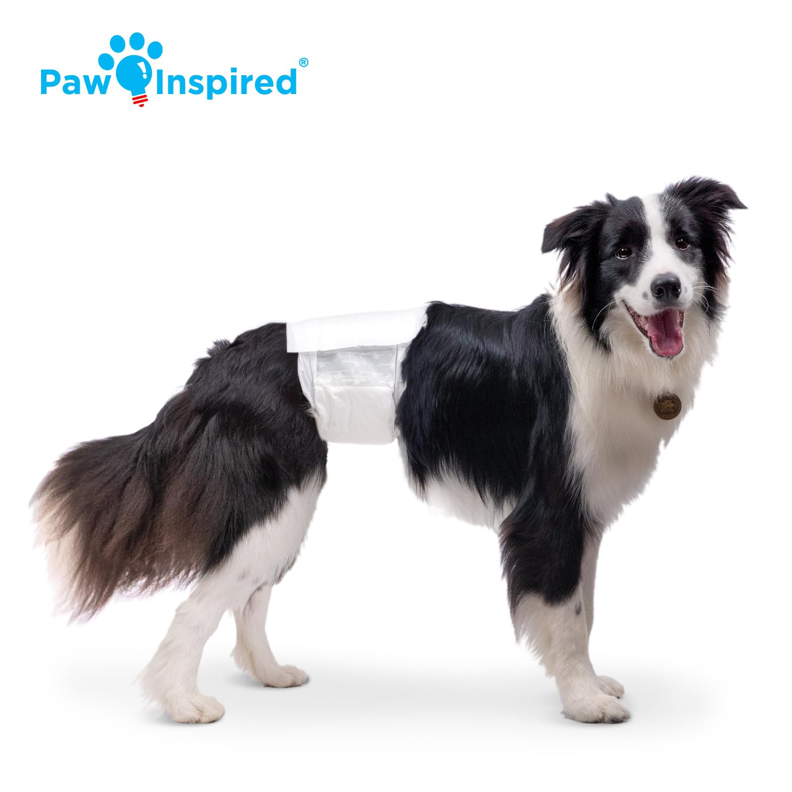 Paw Inspired Couture étanches: protection anti-fuite fiable.