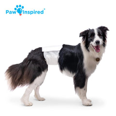 Paw Inspired Couture étanches: protection anti-fuite fiable.