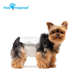 Paw Inspired – technologie DrySpeed qui transforme l’urine en gel immédiatement.