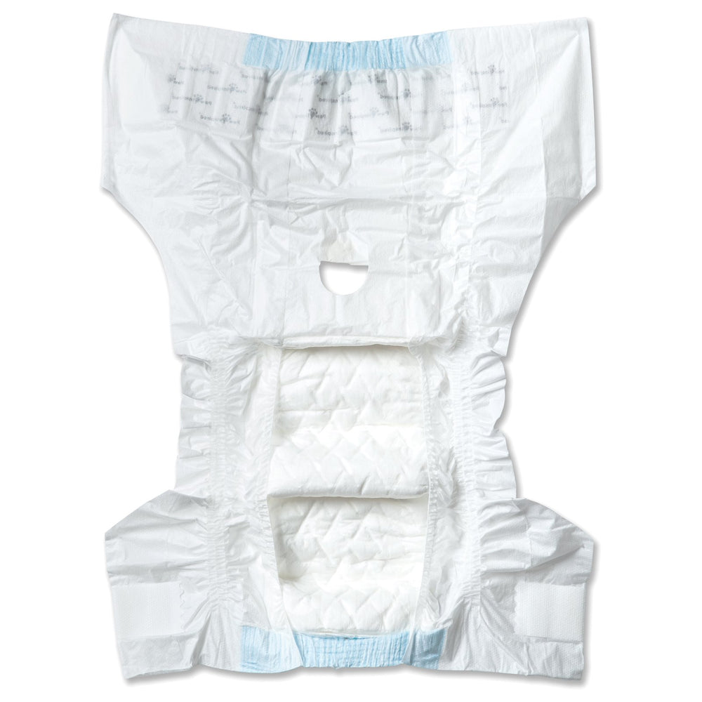 Paw Inspired noyau absorbant et imperméable, pour garder le chien au sec.