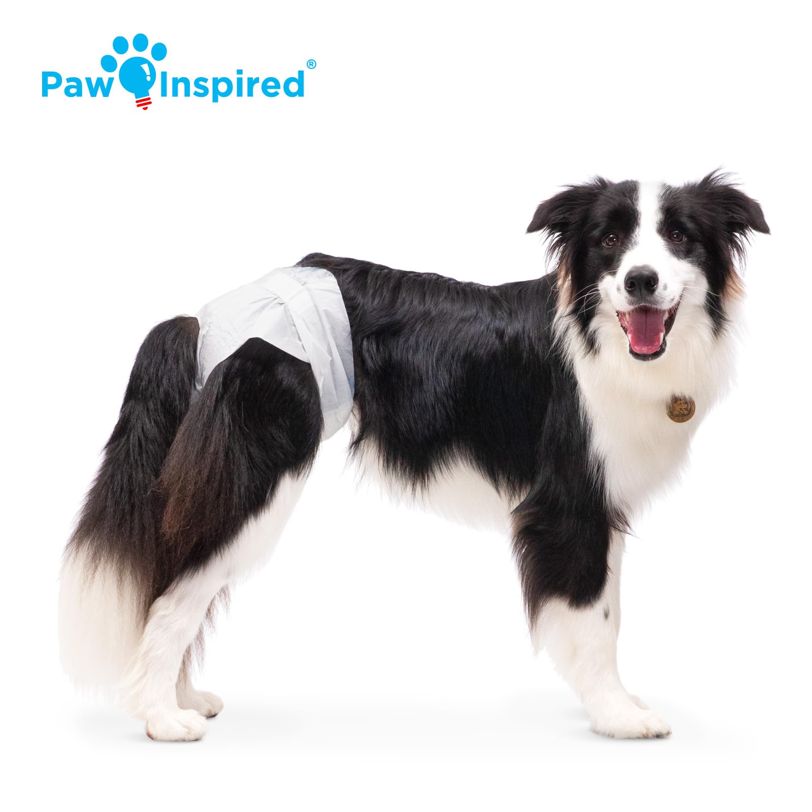 Paw Inspired – Noyau absorbant sans fuite pour un usage quotidien.