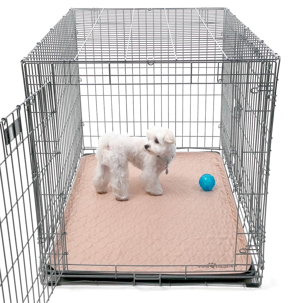 Paw Inspired: pack double de tapis chien pratique pour le ménage.