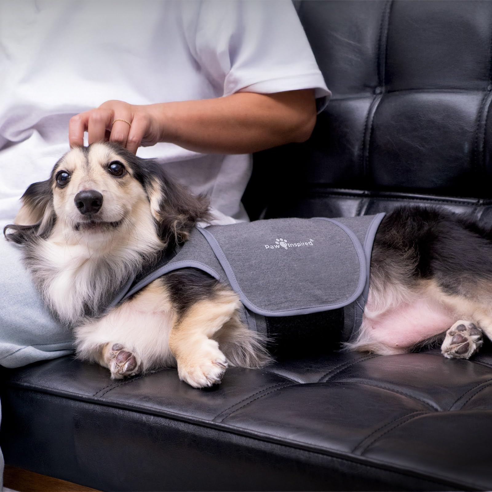 Paw Inspired porte-couches compatible gilet anxiété, pratique durant récupération.
