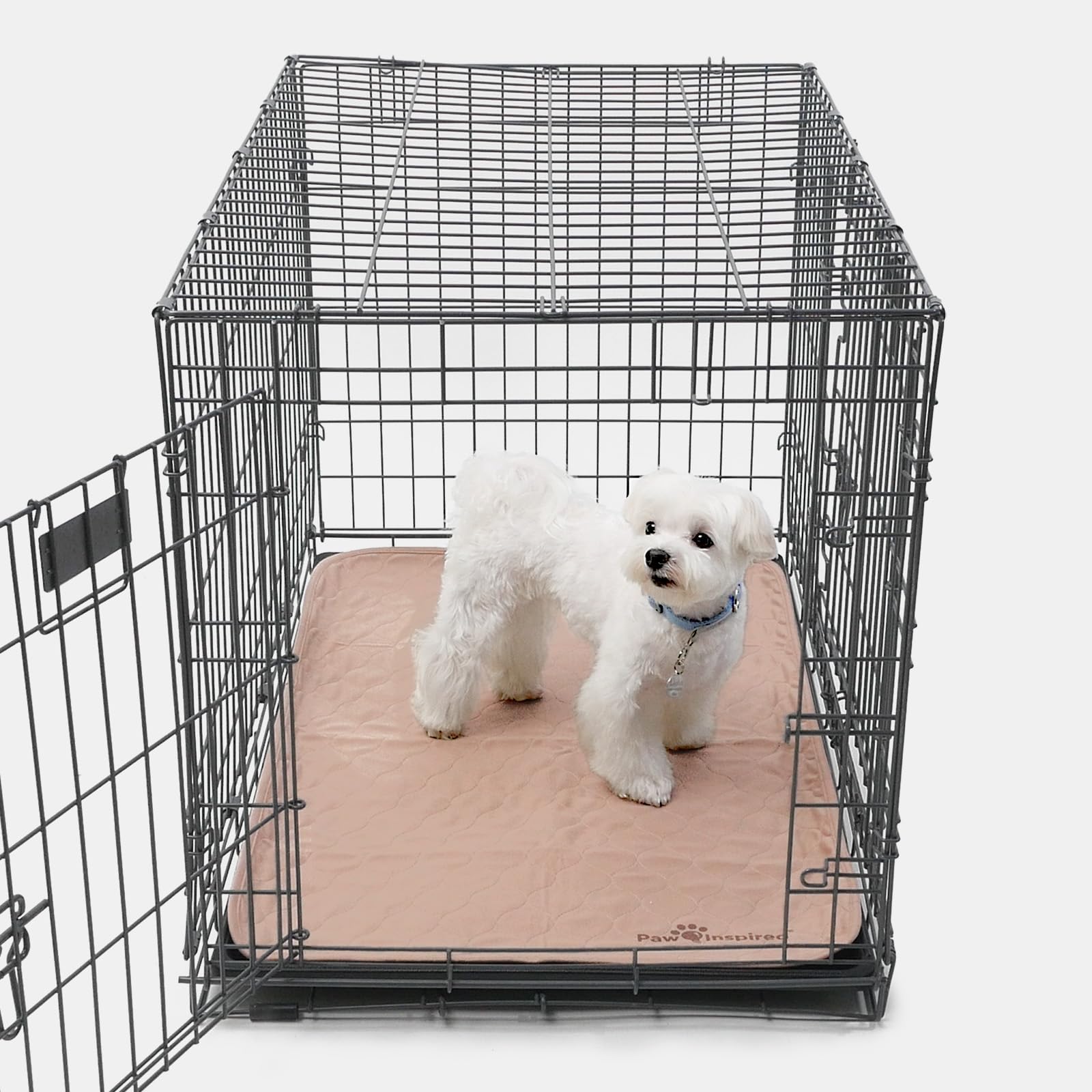 Paw Inspired-protection-pour caisses 35x22, convient aux chiens.