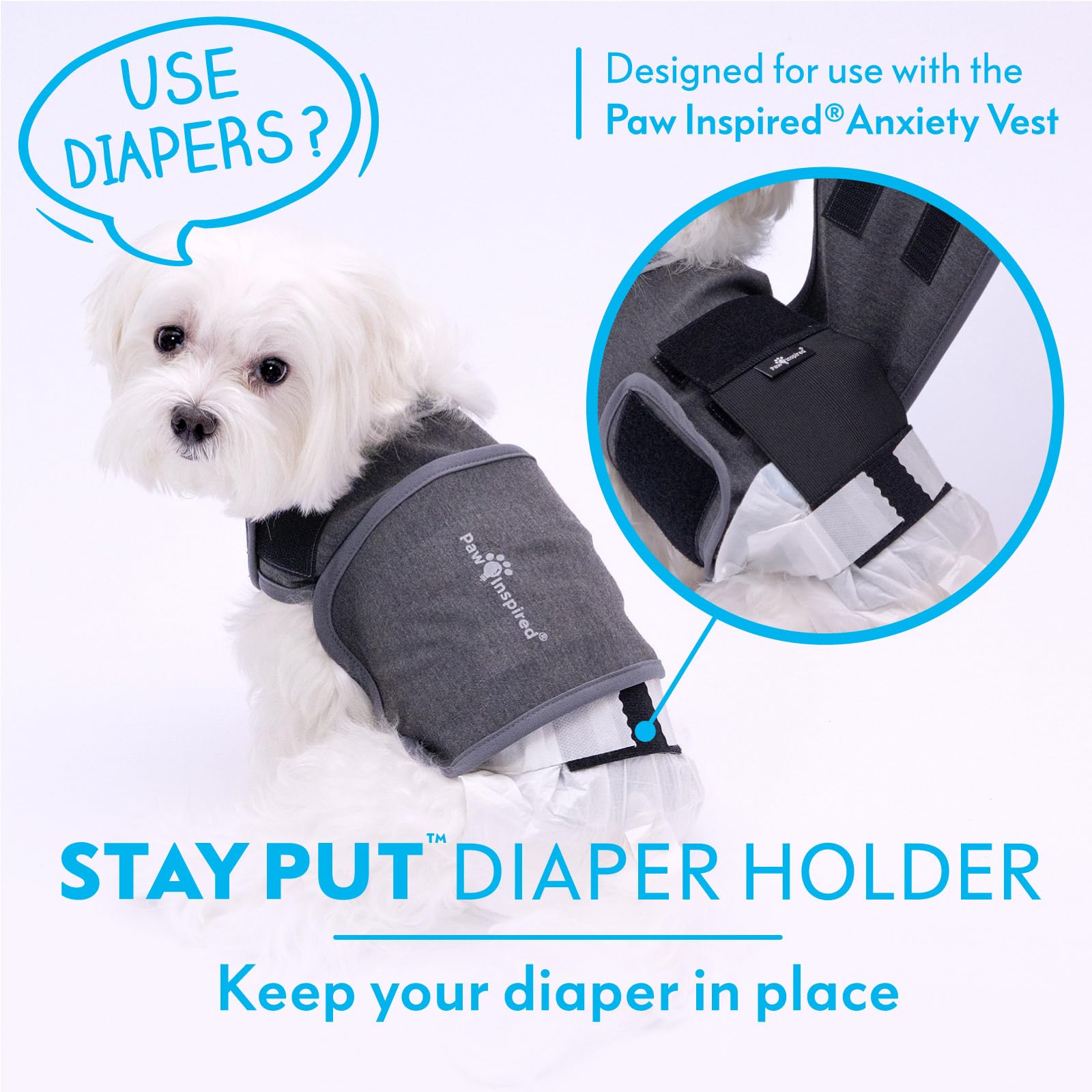 Paw Inspired réflecteur sécurité nuit, meilleure visibilité lors des promenades.