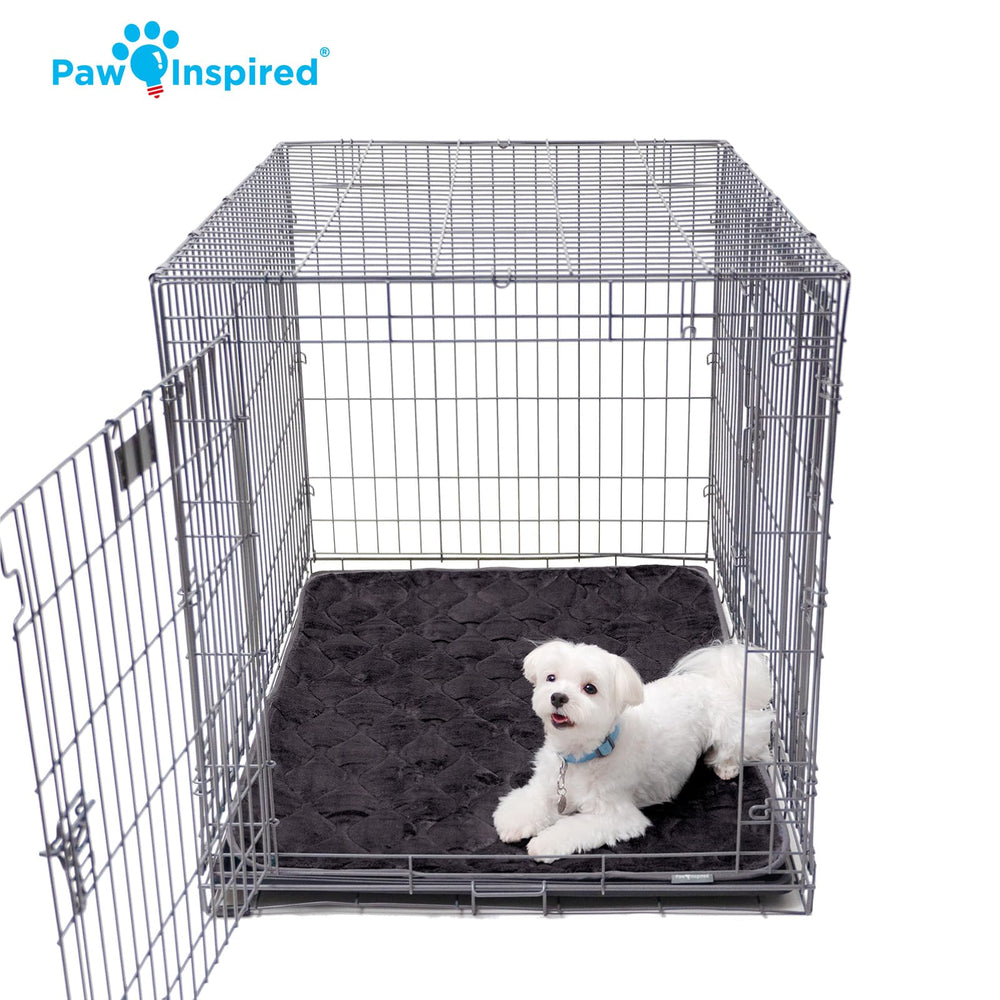 Paw Inspired fond anti-glisse et traitement doux pour chiens actifs et curieux