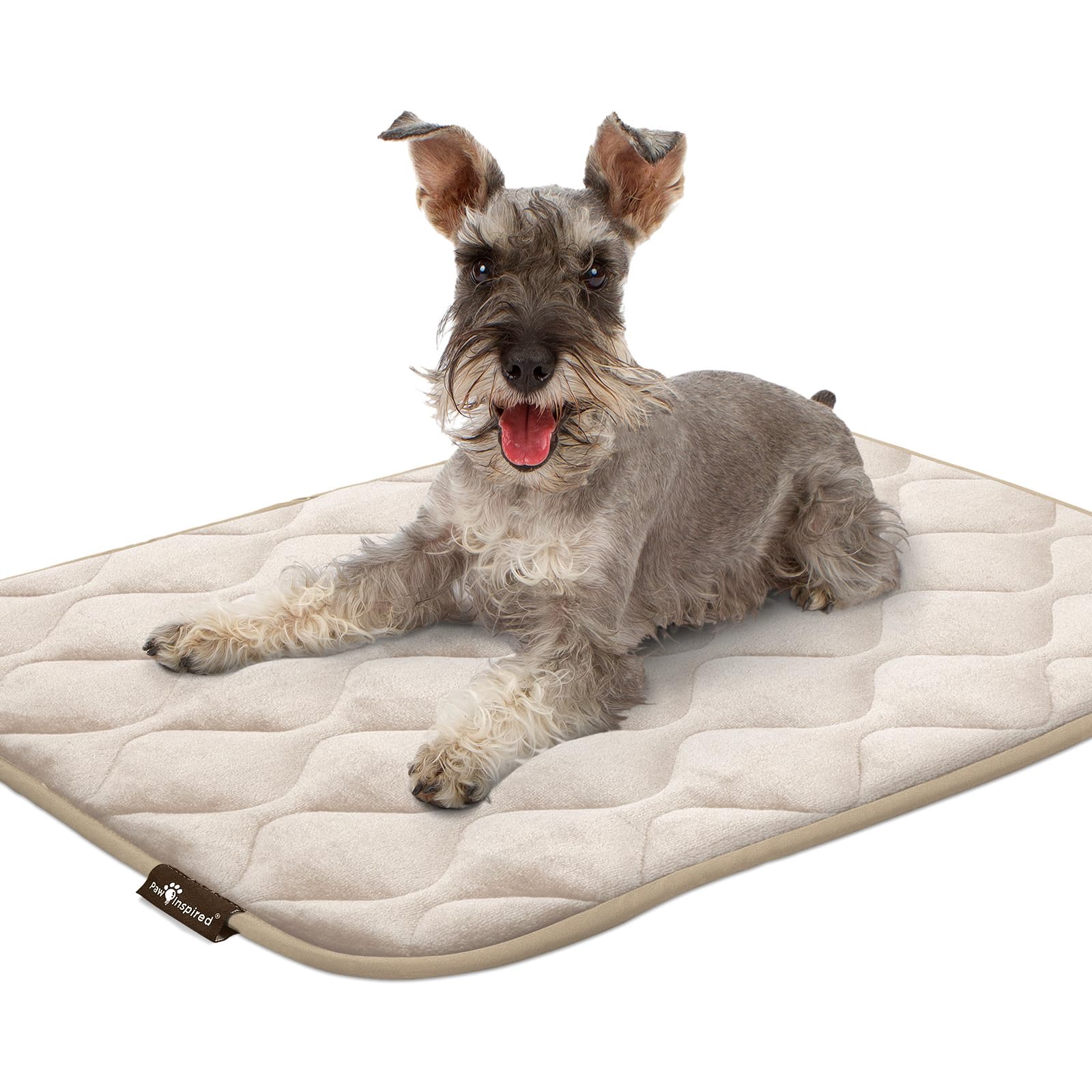 Paw Inspired tapis parfait pour chenil domestique et repos sûr à domicile.