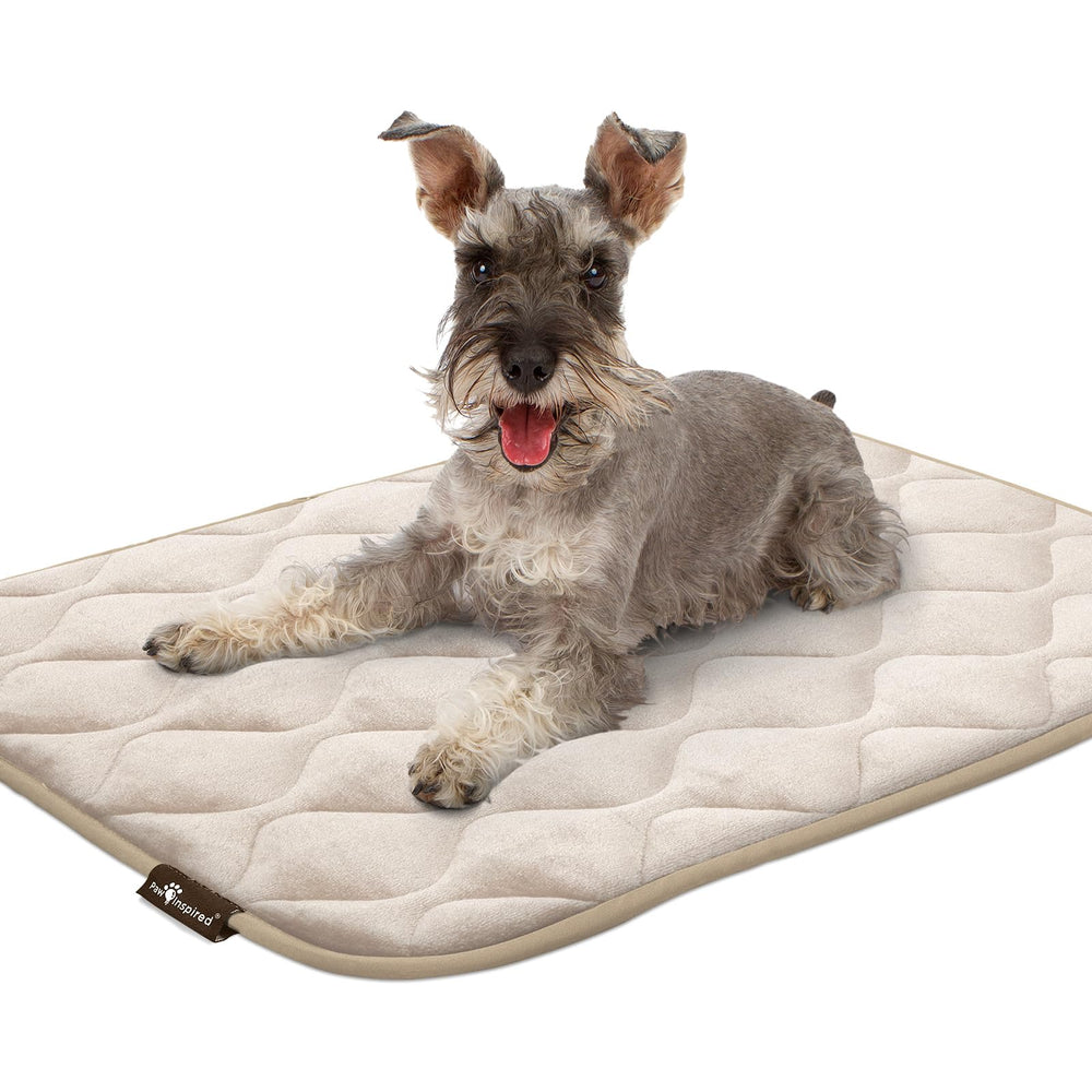 Paw Inspired tapis parfait pour chenil domestique et repos sûr à domicile.