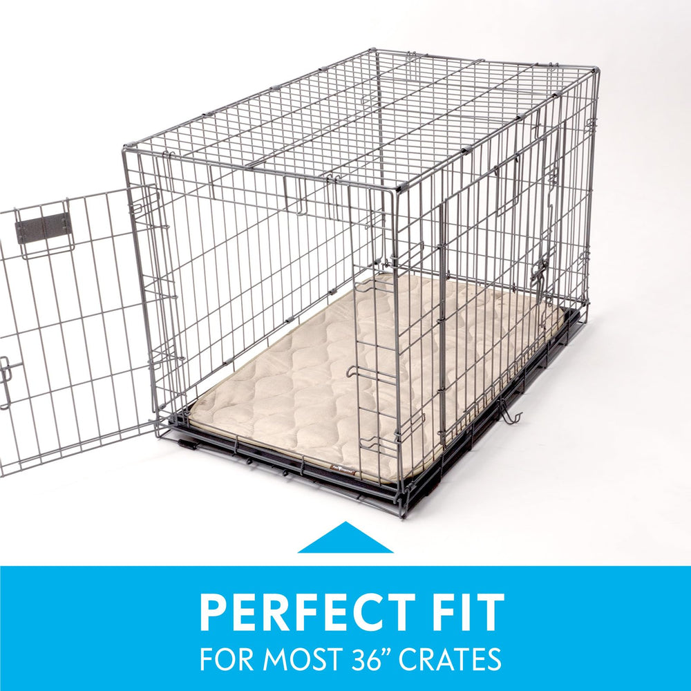 Paw Inspired tapis caisse design multi-couche améliore absorption et odeurs.